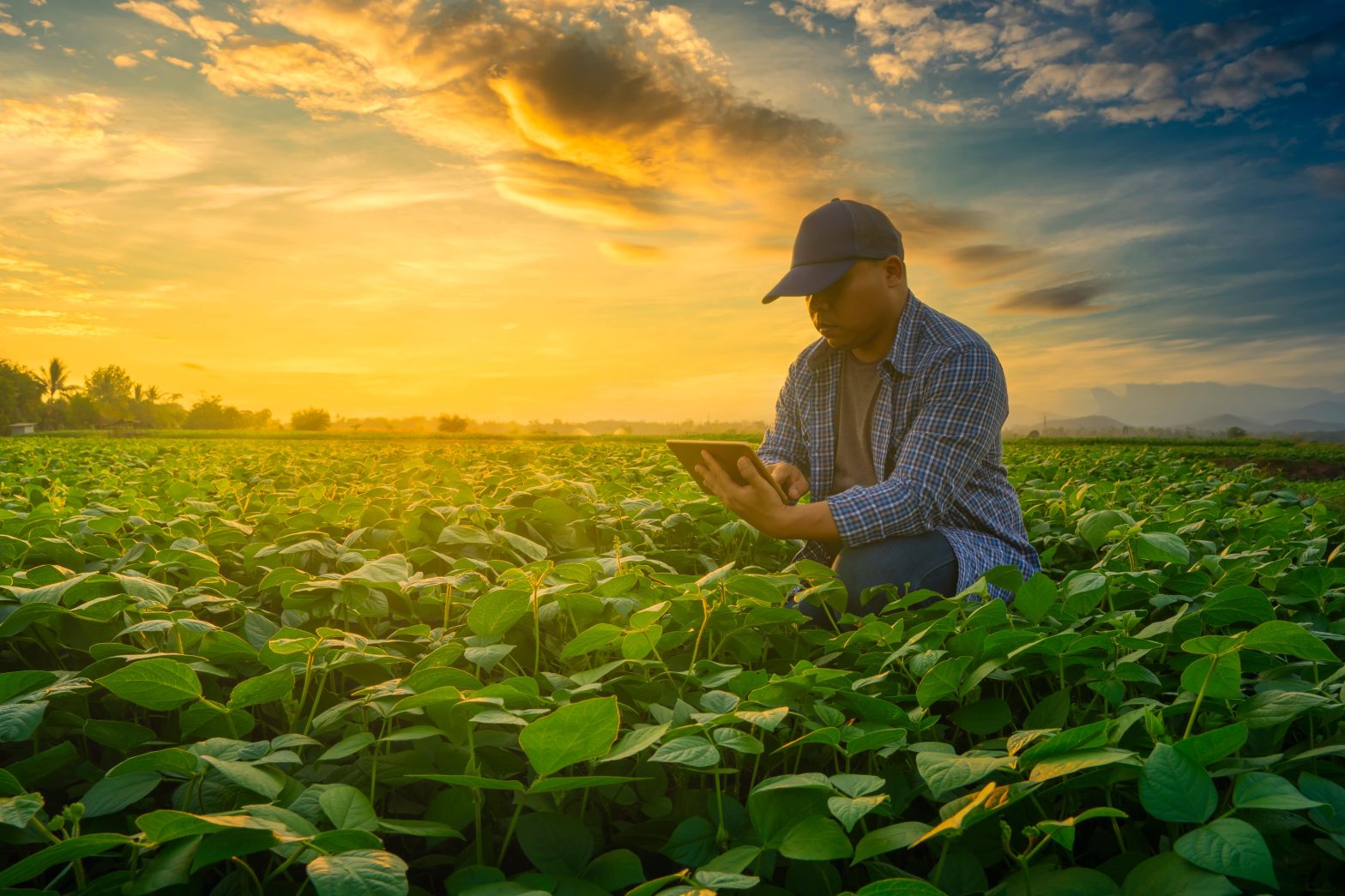 A Framework for Future Cybersecurity in Agriculture